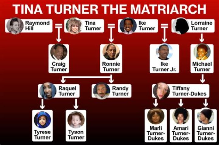 Is Ruby Turner Related To Tina Turner | Family Tree And Net Worth Difference