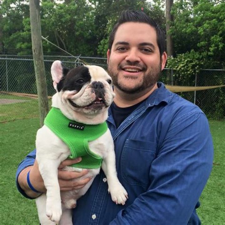 Manny The Frenchie