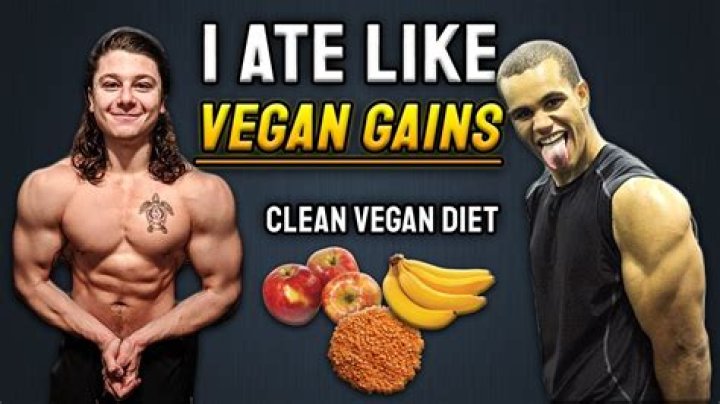 Vegan Gains